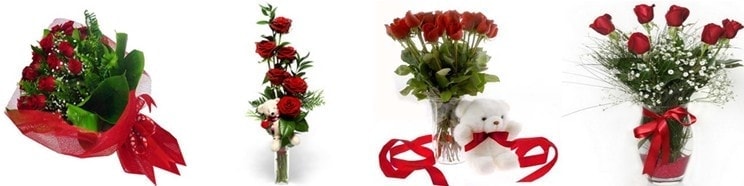 �i�ek G�nderim Amac� Do�um G�n� �i�ek G�nder